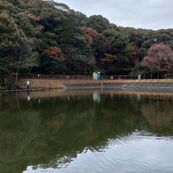 意外に難しかった岡崎トラウトポンド